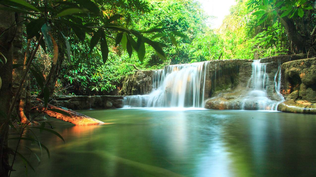 阳光绿色溪流瀑布泰国热带森林4k壁纸