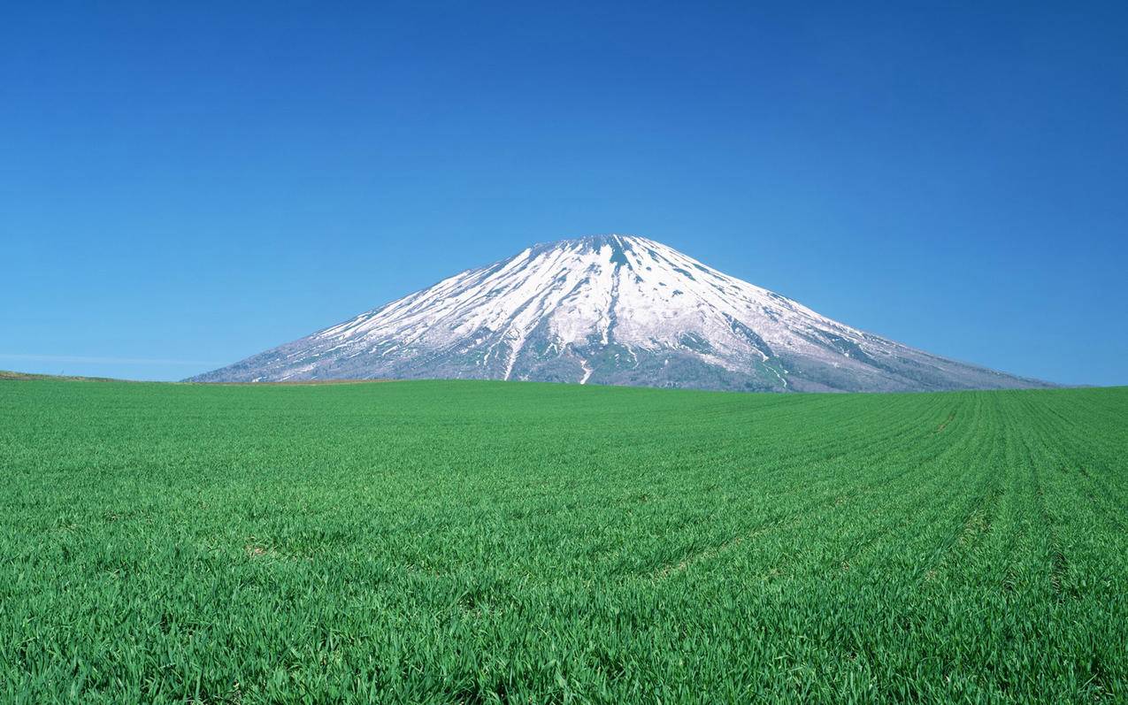 风景自然风光草地日本北海道山峰高清壁纸