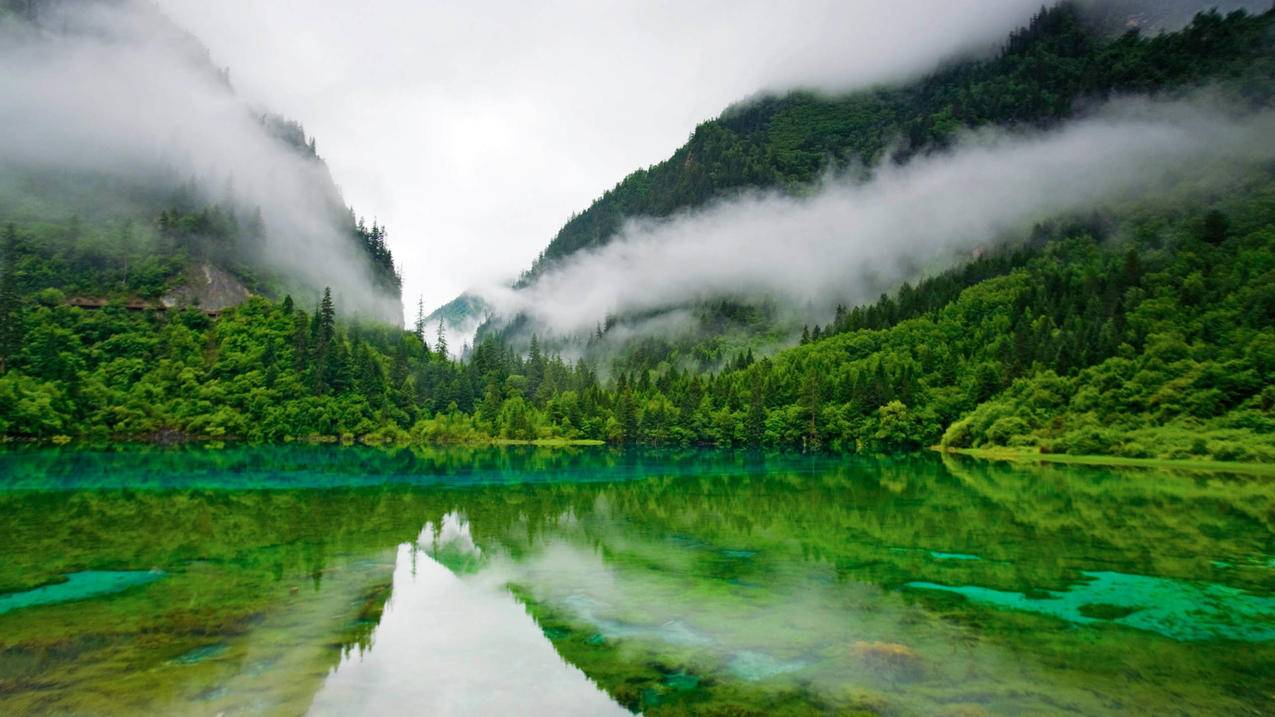 森林湖水迷雾绿色5k壁纸