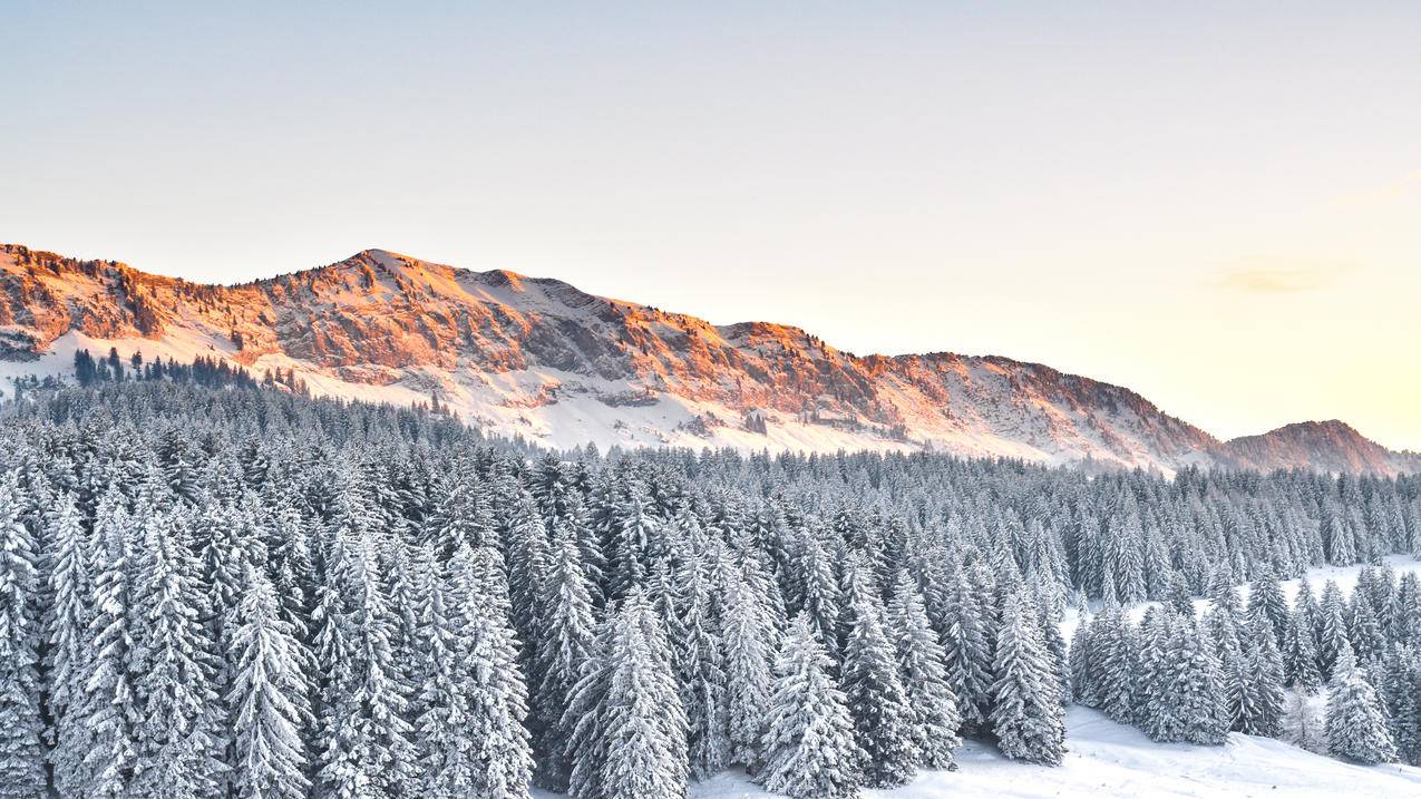 风景冬季森林雪山4k壁纸