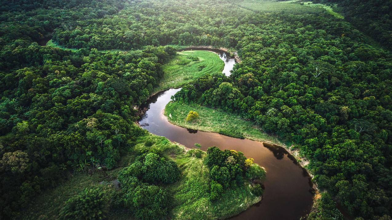 微软 Win10 丛林 河流 风景 4k高清壁纸