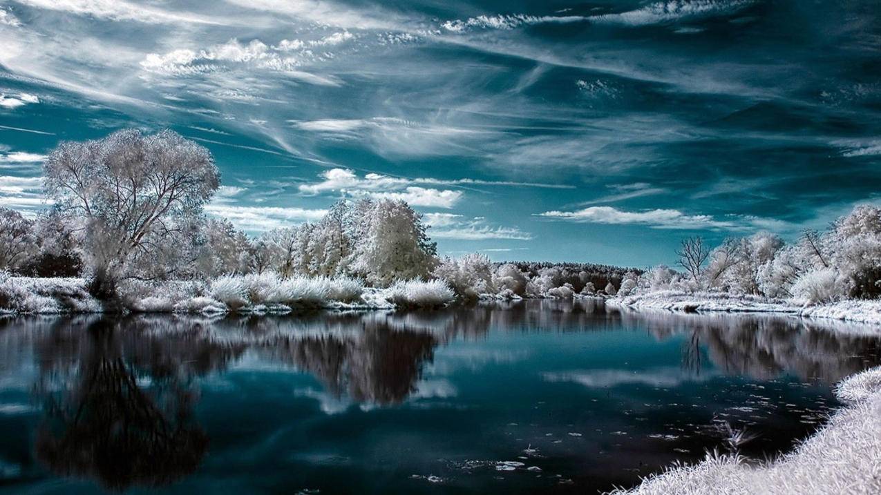 自然风景冰雪世界银装素裹霜降时节高清壁纸