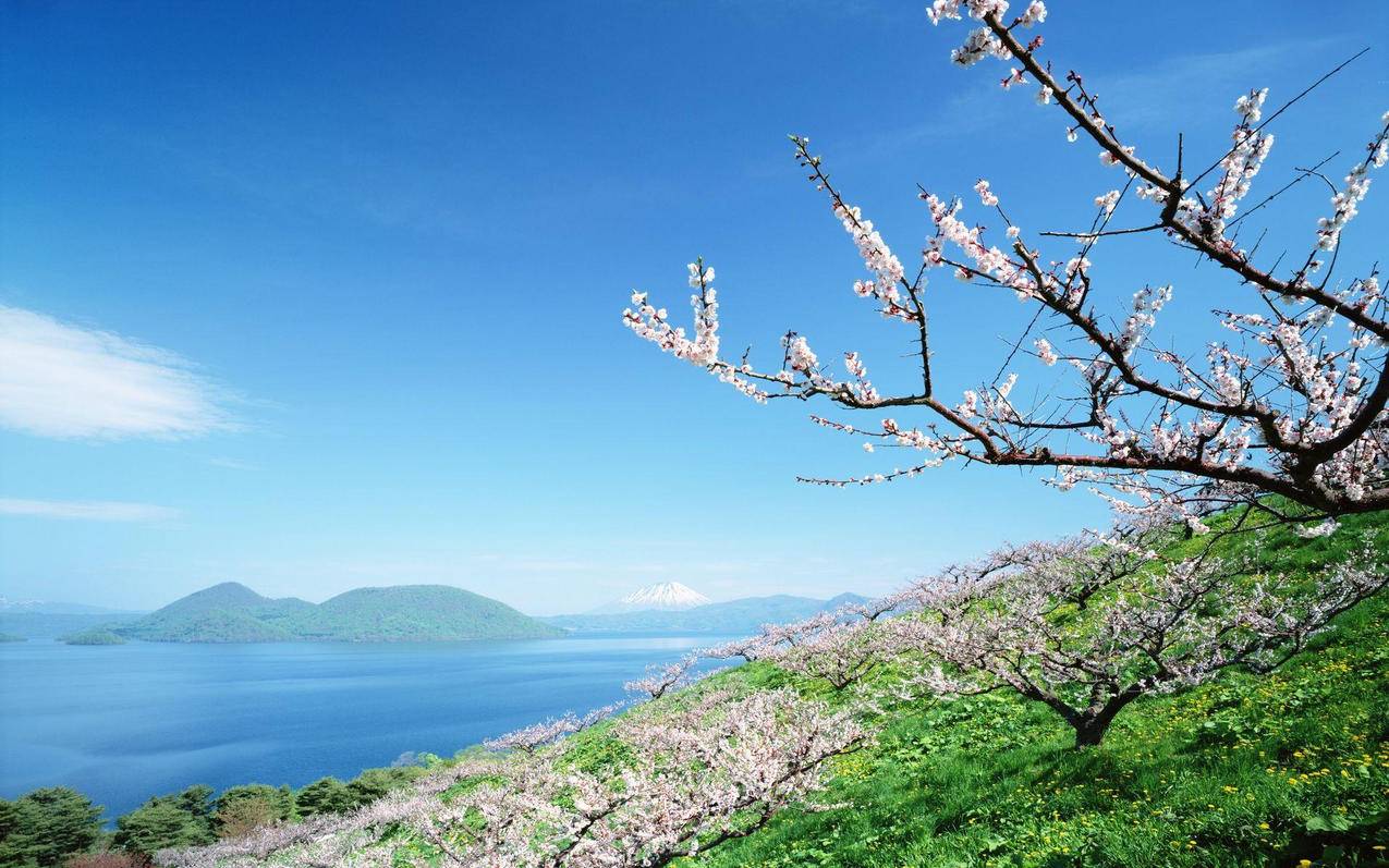 风景自然风光大自然唯美日本北海道日系旅游胜地高清壁纸