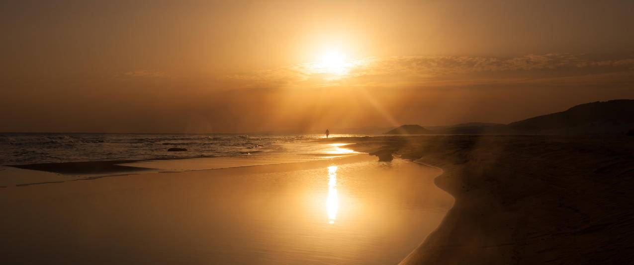 北塞浦路斯金色沙滩带鱼屏壁纸