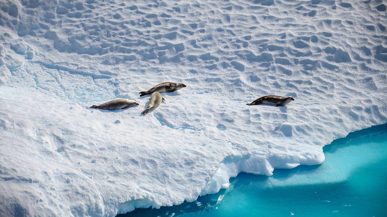 南极 冰川 冬季 4K 海景 壁纸