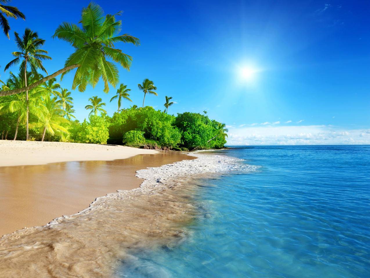 海边沙滩 树 太阳 大海风景平板电脑iPad高清风景壁纸