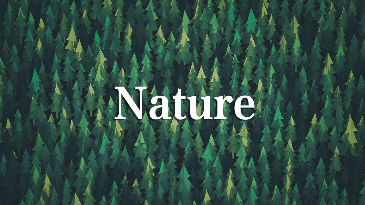 文字创意简约nature大自然高清壁纸